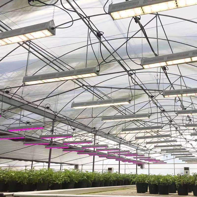 日耀植物补光灯户外防水大棚植物灯全光谱LED植物生长灯仿太阳光