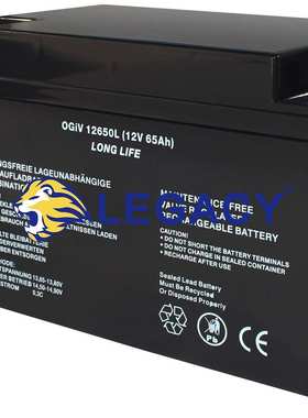 德国RPower蓄电池 OGIV126500L 12V65AH UPS电源  船舶电池