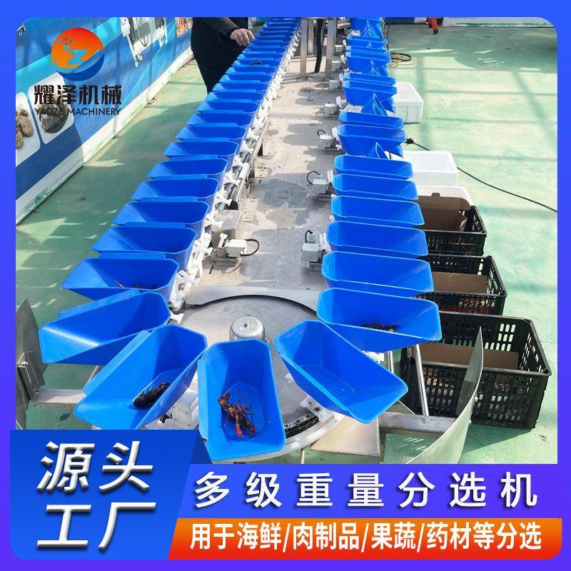 全自动果蔬重量分拣机软籽石榴火龙果油桃大小分选机水果选果机