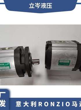 意大利RONZIO罗茨同步马达FDRA020063WVR270DMC 齿轮泵