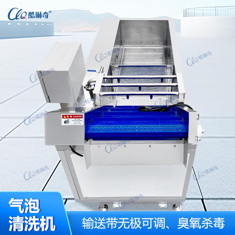 采用循环水冲浪气泡清洗机广泛使用适合净菜加工地区蔬菜类清洗