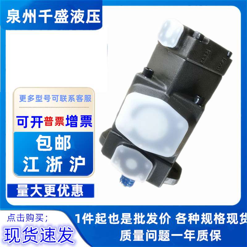 HENGYI PV2R12-28/31/25-26/33/41/47/53/59/65-F-RAAA-41 叶片泵
