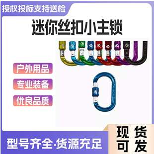 英国DMM XSRE 迷你丝扣小主锁 快挂防扭转打滑丝扣锁4kn