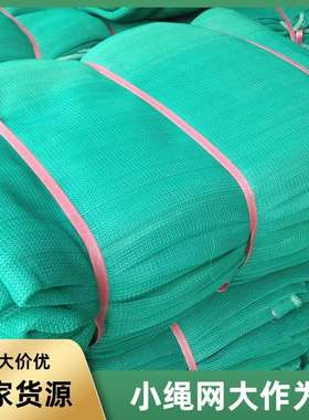 广州绳网黄埔天河施工防护网白色紫色粉红色阻燃安 防尘网 防风网