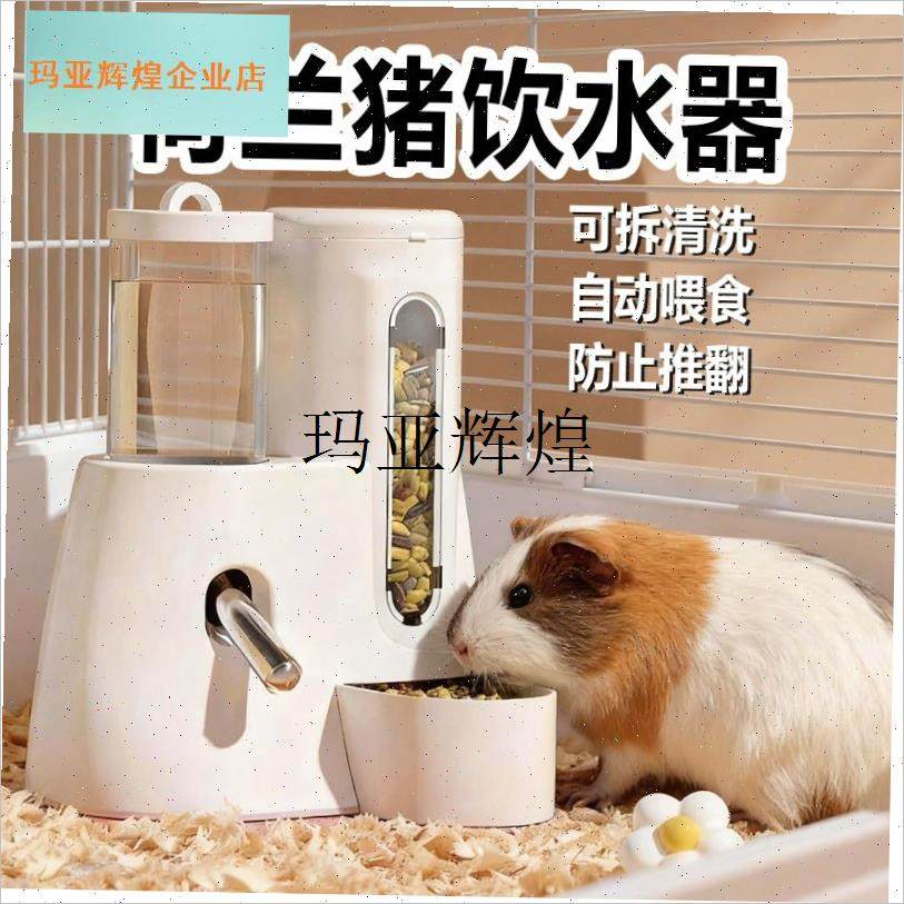 荷兰猪饮水器自动喂食器滚珠一体水壶豚鼠不漏水U宠物喝水容量用,,宠物/宠物食品及用品,鼠类喂食器,淘宝优惠券,粉丝福利购,淘宝优惠卷
