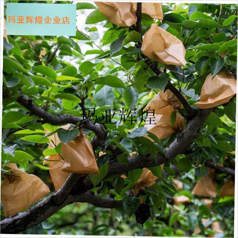 套袋梨子包装果树防鸟防虫育w果袋苹果桃保护通用橙子水果透气果,