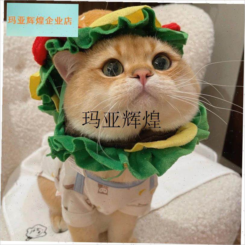 猫咪汉堡头套搞怪可爱宠物帽子狗狗F头饰小型犬网拍红照装扮服饰,,宠物/宠物食品及用品,宠物伊丽莎白圈,淘宝优惠券,粉丝福利购,淘宝优惠卷