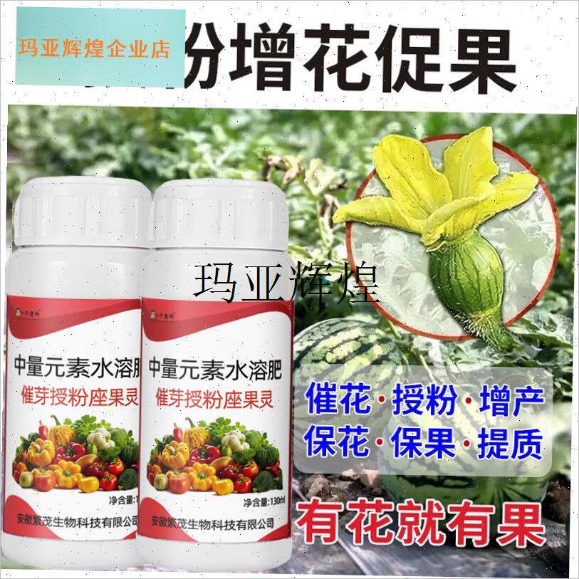西瓜授粉专用g药点花神器免沾花坐果灵保果防落果防裂防畸西瓜肥,