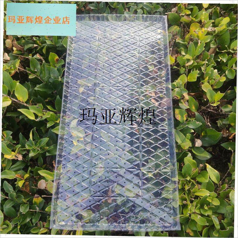 机插秧苗托盘加厚PVCq透明平盘9寸插秧机免揭软盘加厚新料秧盆秧,