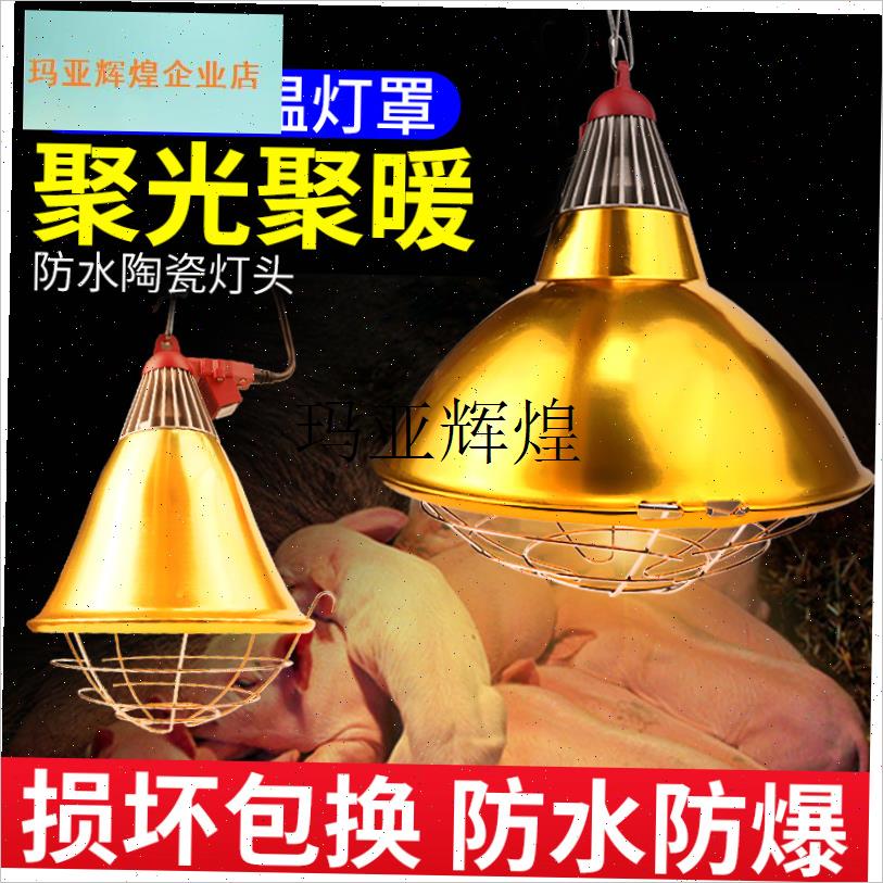 加厚养殖保温灯灯罩猪用取暖灯罩防水可K调温小鸡加热灯泡畜牧设,