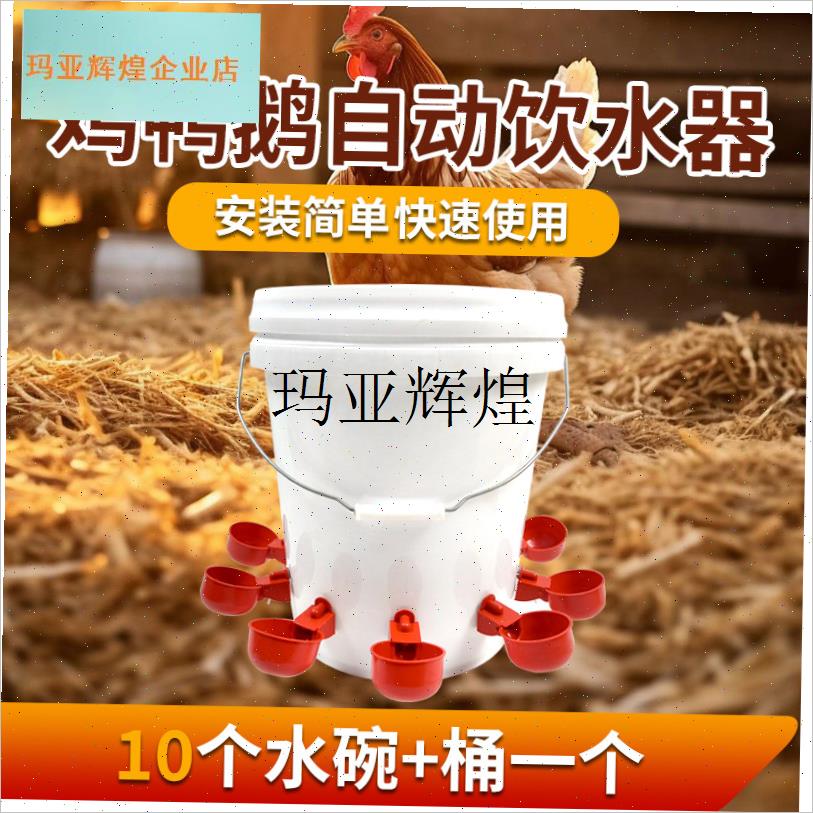 小鸡喝水饮水器鸡鸭用自动饮水器养鸡喝水喂鸡神U器家禽养殖喂水,