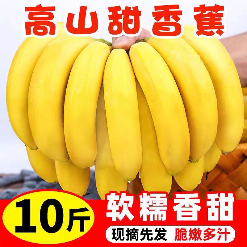 高山甜香蕉当季新鲜水果
