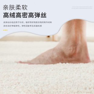 纯色客厅地毯卧室床边加厚绒高级家用垫定制长毛简约茶几沙发房间
