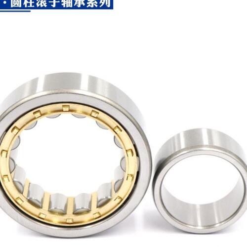 日本进口圆柱滚子轴承 N NU NJ RN NUP 1060 EW EM C3