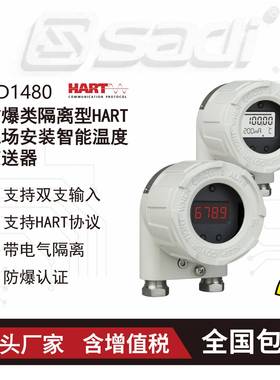 AD1480防爆类隔离型HART现场安装智能温度变送器