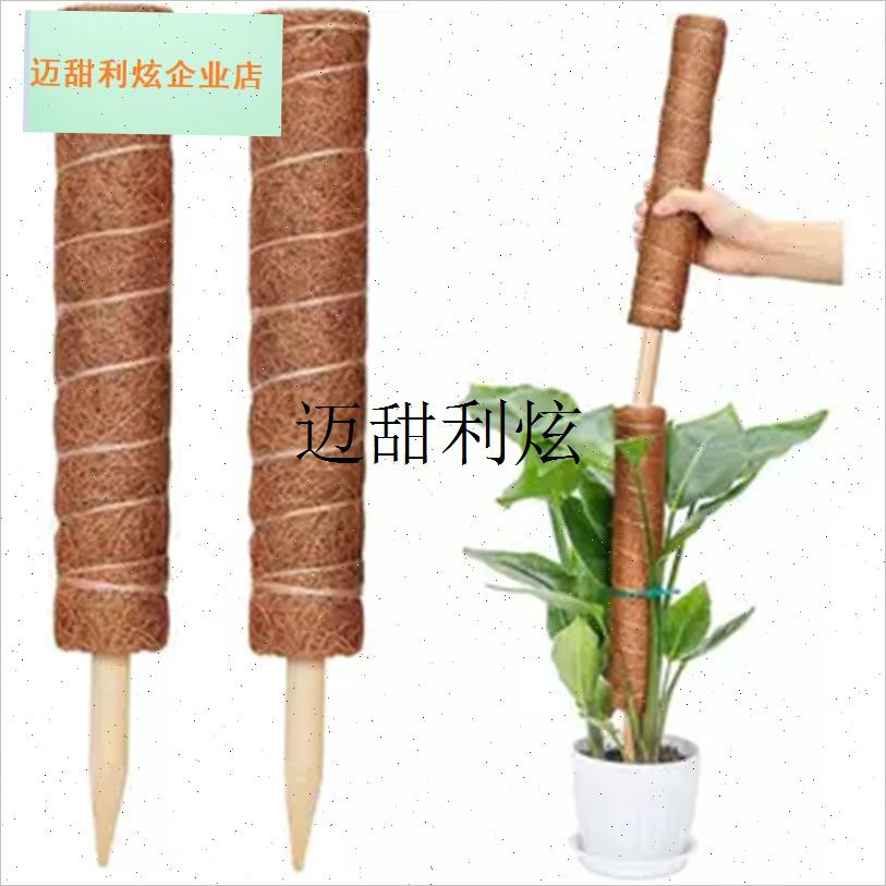 龟背竹支撑杆绿i箩攀爬柱椰棕棒绿萝固定植物爬藤棕榈柱防倒伏支,