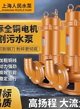 SRSC上海人民工程污水泵法兰无堵塞潜水排污泵农用化粪池切割泵