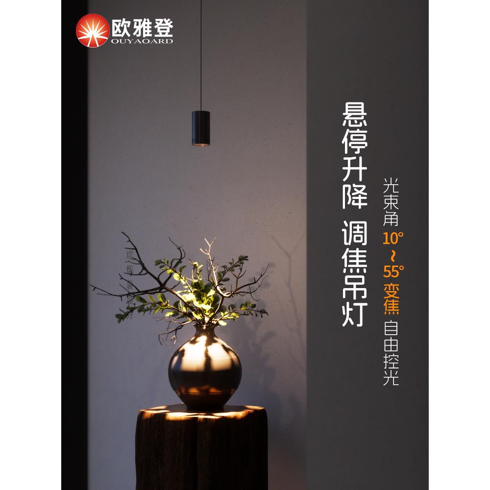 采购产品入口吊灯，表面安装床头吊灯，升降台聚焦变焦，聚光灯，