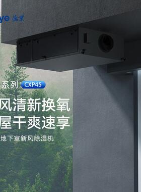 新风除湿一体机DY-CXP45地下室别墅单向流净化抽湿机485集控