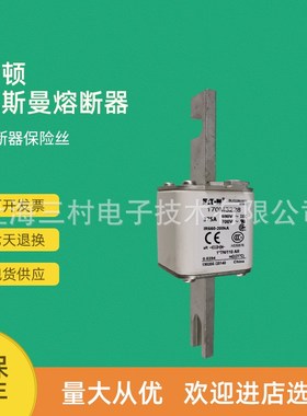 全新原装快速熔断器保险丝170M3421 170M3422 170M3423 170M3424