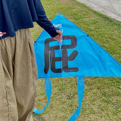 放屁风筝b微风易飞2024新款潍坊风筝大人儿童专用手持户外创意搞
