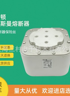 全新原装快速熔断器保险丝170M7975 170M7978 170M7982 170M8016