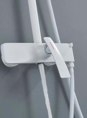 全铜冷热白色花洒星空雨淋淋浴套装挂墙式卫生间洗澡龙头沐浴器