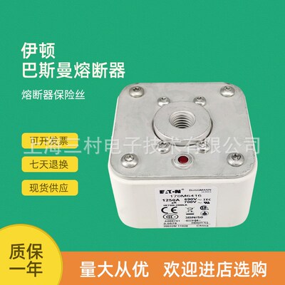 全新原装快速熔断器保险丝170M6418 170M6419 170M6420 170M6421
