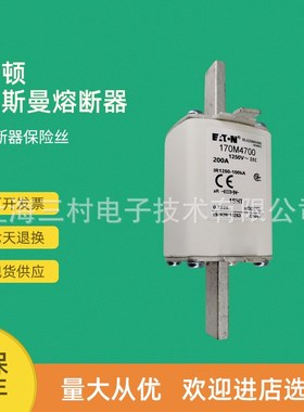 全新原装快速熔断器保险丝170M4743 170M4744 170M4745 170M4746