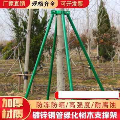 极速新品支撑架支伸缩杆固定w苗支架器木扎带镀锌钢L定稳管三脚架,农用物资,苗木固定器/支撑器,淘宝优惠券,粉丝福利购,淘宝优惠卷