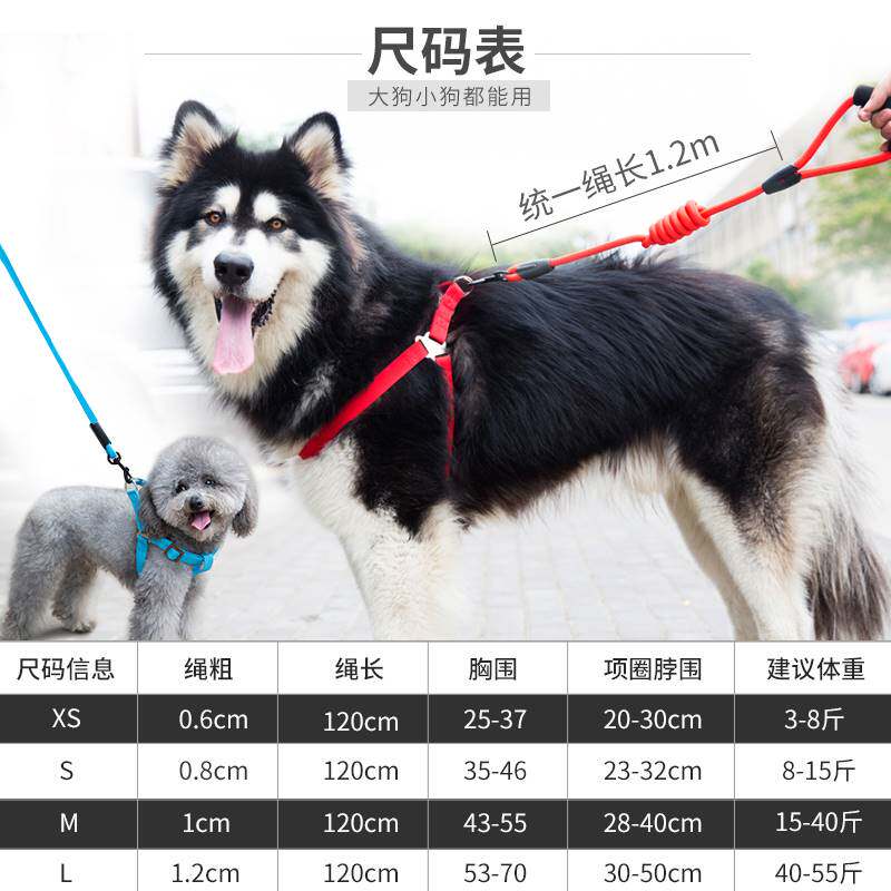 新品泰迪狗绳小狗狗宠物牵引绳小型E犬猫防挣脱家用柯基背带可调