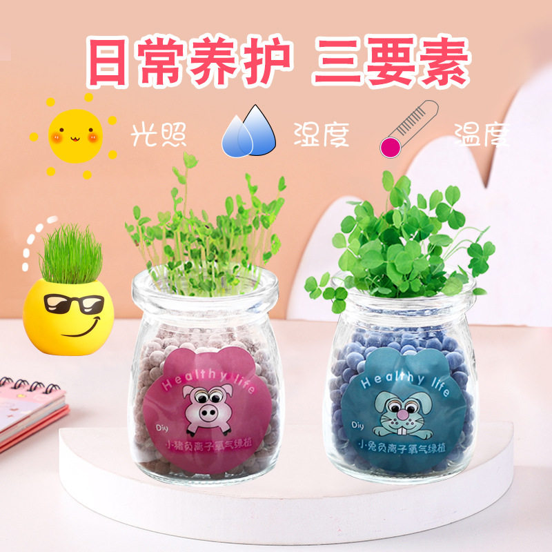 新品草头娃娃办公室迷你植物小盆栽青草H种植表情桌面diy盆栽学生