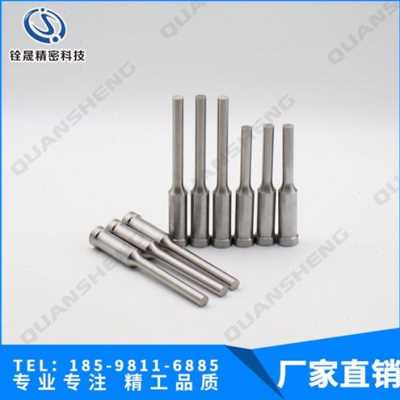 极速厂销模具配件M4vq2冲头镀钛冲针 钨钢冲棒来图精密公差质量品