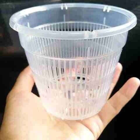 极速蝴蝶兰花盆控根铁s皮石斛圆形塑料透气洋兰兰定植篮生根盆,鲜花速递/花卉仿真/绿植园艺,花盆,淘宝优惠券,粉丝福利购,淘宝优惠卷