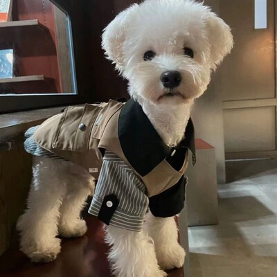 新品狗狗衣服春夏日系工装马甲背心宠物可牵N引雪纳瑞比熊柴犬潮