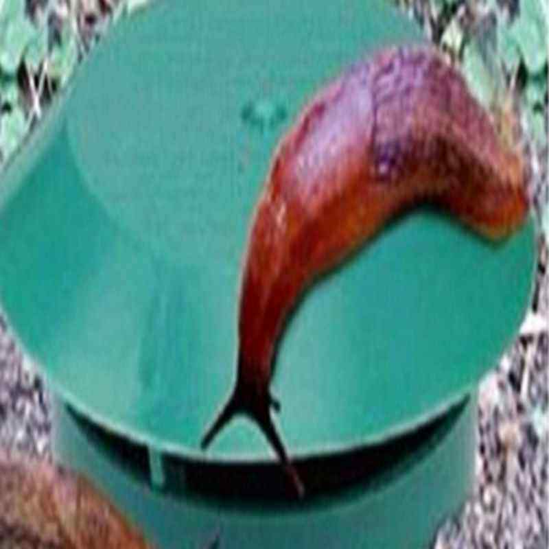 极速Vegetable Protectiont Leech Catch Slug Trapper Pest Cont