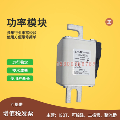 极速适用170M5974/5975/5981/5982/5983/5984/5985/5Y986快速保险