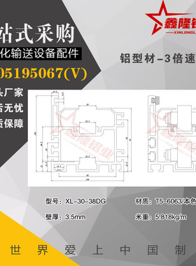 极速三倍速c型材ATS05-30-38DG带挡边钢支款轨道配BS30-C212A链条