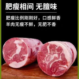 包邮 精选无尾羊肉卷羔羊元 宝肉内蒙古锡盟草原散养羊肉冷冻