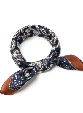 安格拉红腰果花70cm方巾阿美咔叽色系小丝巾护颈围巾防晒围脖