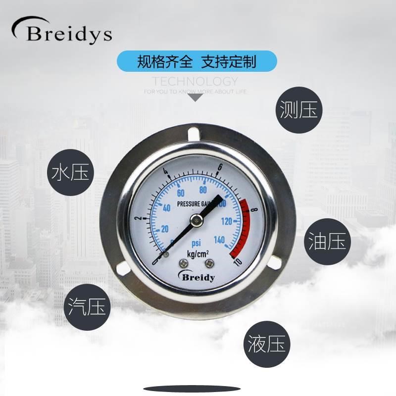 压力表YNBF50ZT轴向带边不锈钢耐震压力表0-1.6mpa油液压气压水压