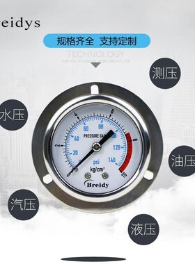 压力表YNBF50ZT轴向带边不锈钢耐震压力表0-1.6mpa油液压气压水压