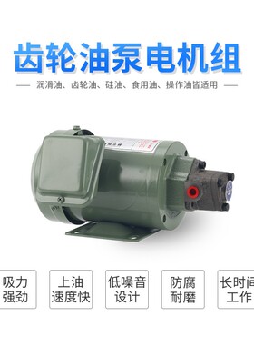 220V电动机油齿轮油泵TOP-12A机床润滑TOP-11/13A三角摆线泵电机
