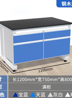 实验室工作台钢木实验台操作台试验桌全套设备全钢中央台pp通风柜