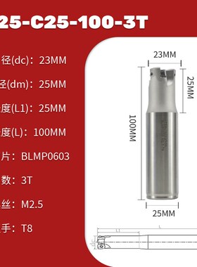 TEBL06快进给双面铣刀杆 特固克通装BLMP0603双面四角开粗铣刀片