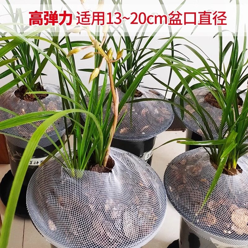 种植兰花网套塑料保护网套罩高弹防散落兰花专用网套兰花盆网套