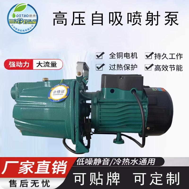 德涛 家用水泵 喷射泵抽水机抽水泵自吸泵抽井水水塔增压泵220