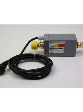 德国IBEDA阻火器DS1000