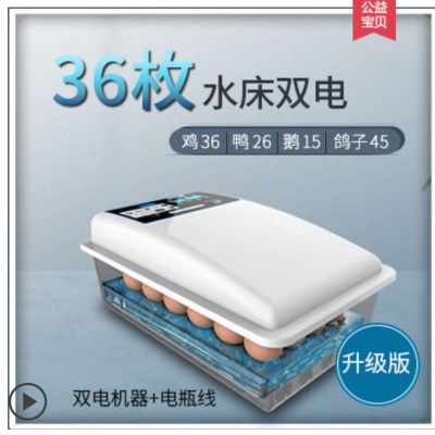 速发厂销枚孵化器孵化机孵蛋器家用型全自动小型迷你水床孵W化箱