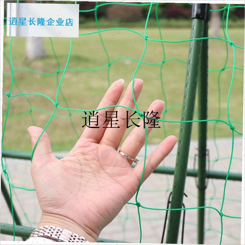 l爬藤网种植网家用户外庭院丝瓜百香果植物攀爬架T园艺网爬藤网绳